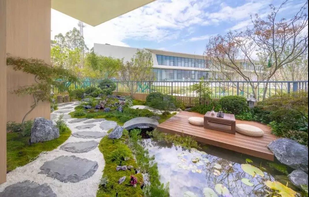 1599207861503902.jpg 1.jpg