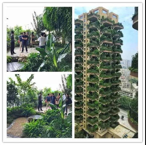 1599208274198548.jpg 4.jpg